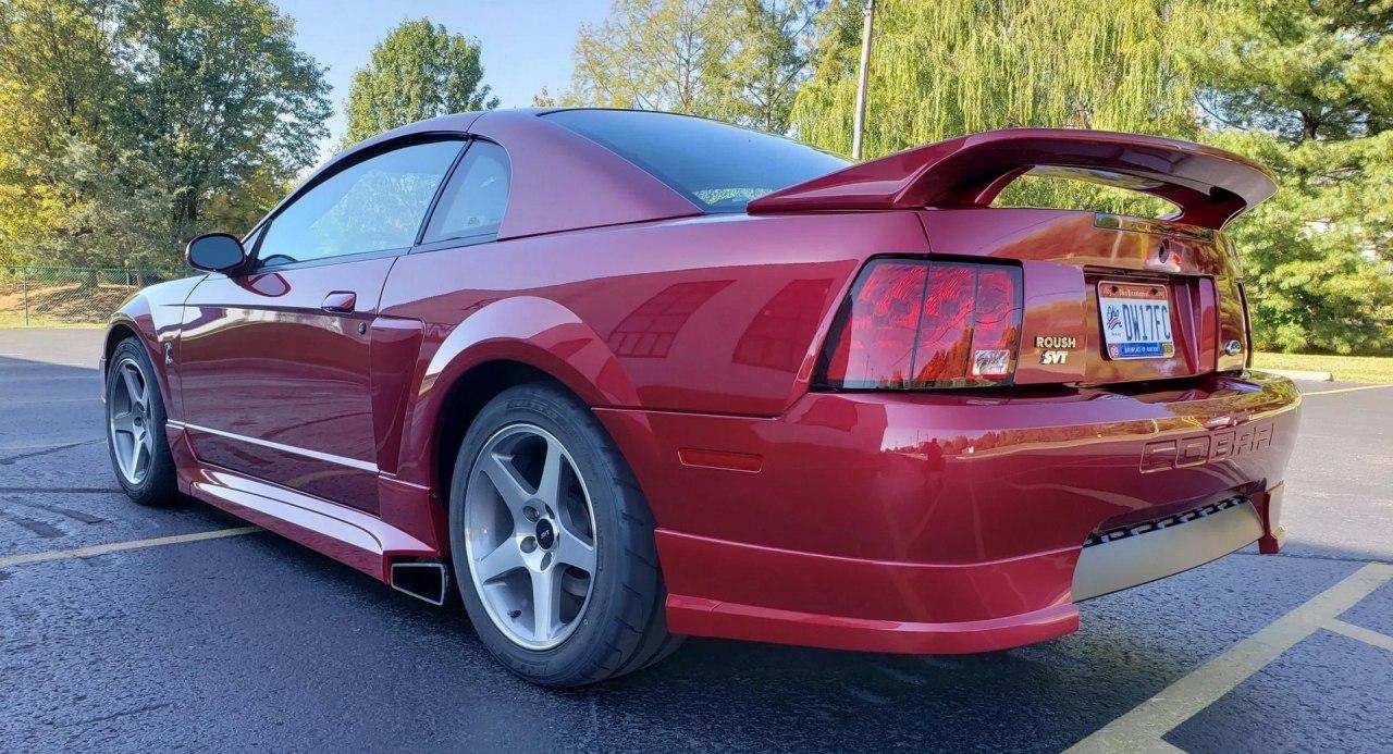 经过Roush调校的2003年福特Mustang SVT眼镜蛇的诱惑吗？